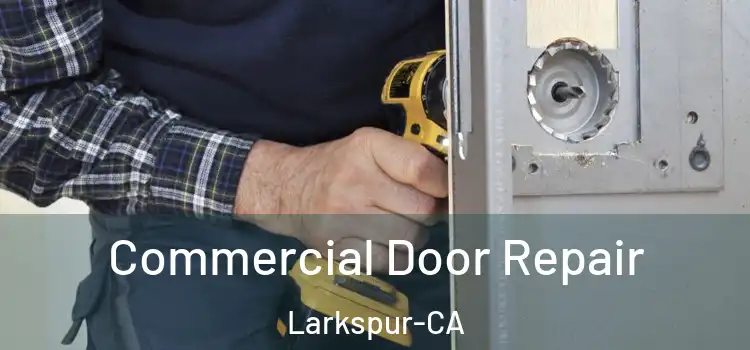 Commercial Door Repair Larkspur-CA