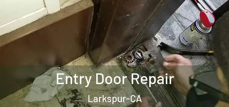  Entry Door Repair Larkspur-CA