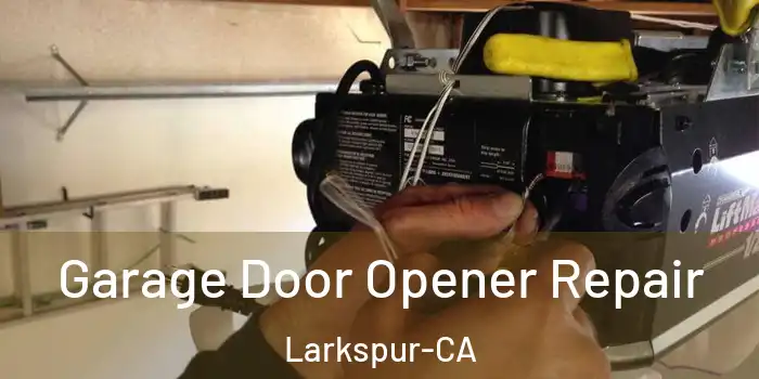 Garage Door Opener Repair Larkspur-CA