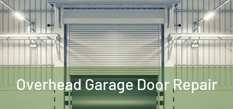  Overhead Garage Door Repair 